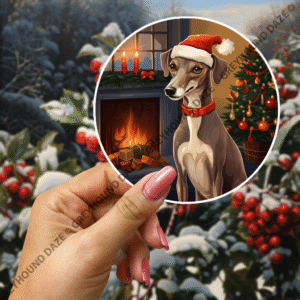 Whippet/Lurcher on Christmas Eve